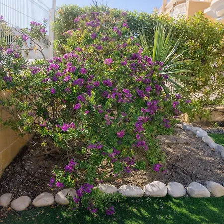 Villasol 6 San Fulgencio